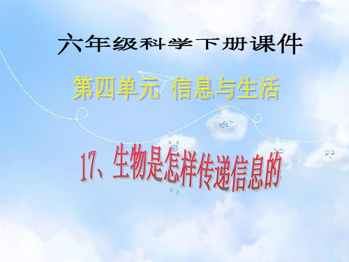 青岛版小学科学六下《17、生物是怎样传递信息的》PPT课件 (5)