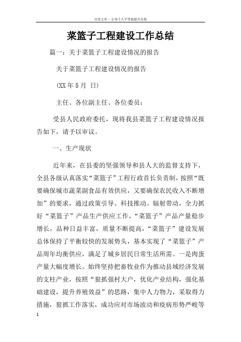 菜篮子工程建设工作总结