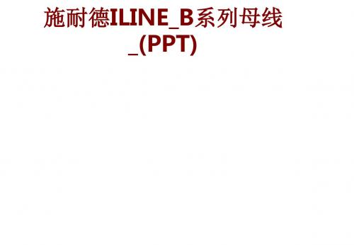 施耐德ILINEB系列母线PPT课件