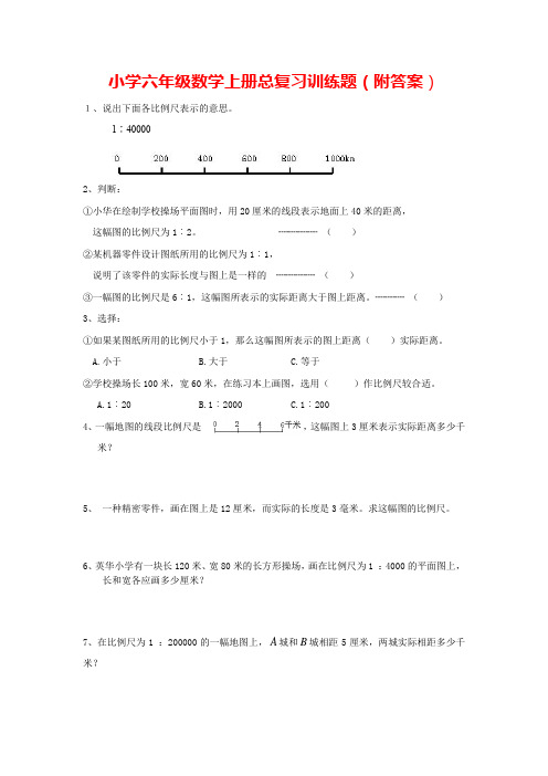 人教版小学六年级数学上册总复习训练题(附答案)
