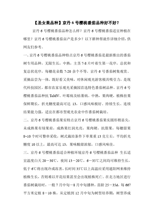【圣女果品种】京丹6号樱桃番茄品种好不好？