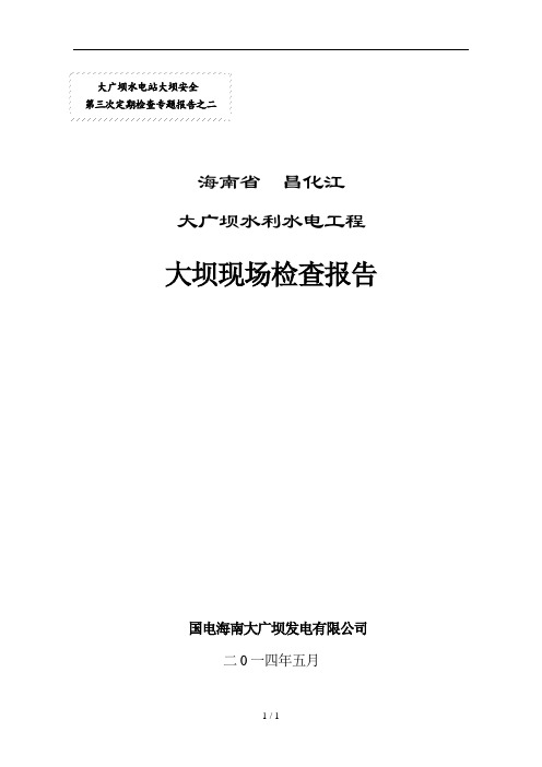 大广坝大坝现场检查报告稿