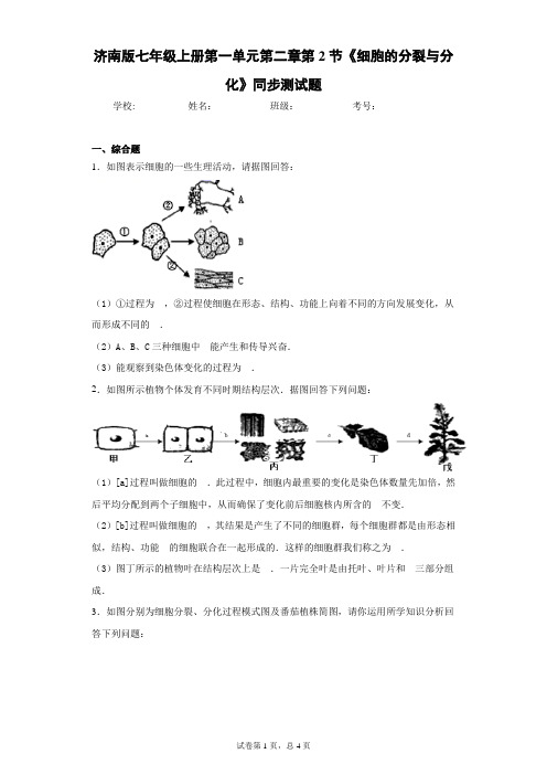 济南版七年级上册第一单元第二章第2节《细胞的分裂与分化》同步测试题