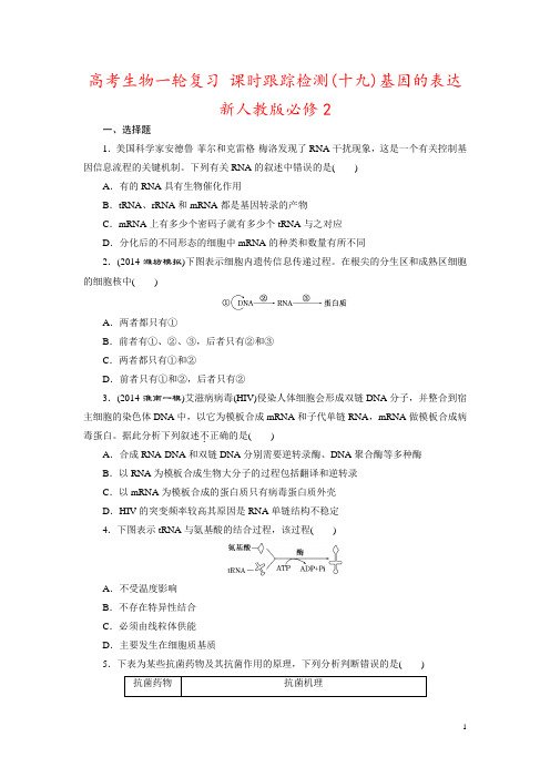 高考生物一轮复习 课时跟踪检测(十九)基因的表达 新人教版必修2 