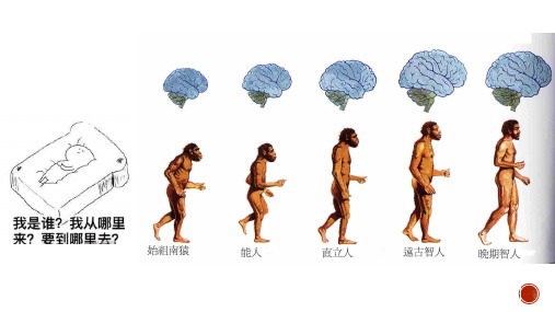 中华文明的起源与早期国家