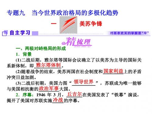 人教版必修一高中历史(浙江专版)课件：专题九 一 美苏争锋
