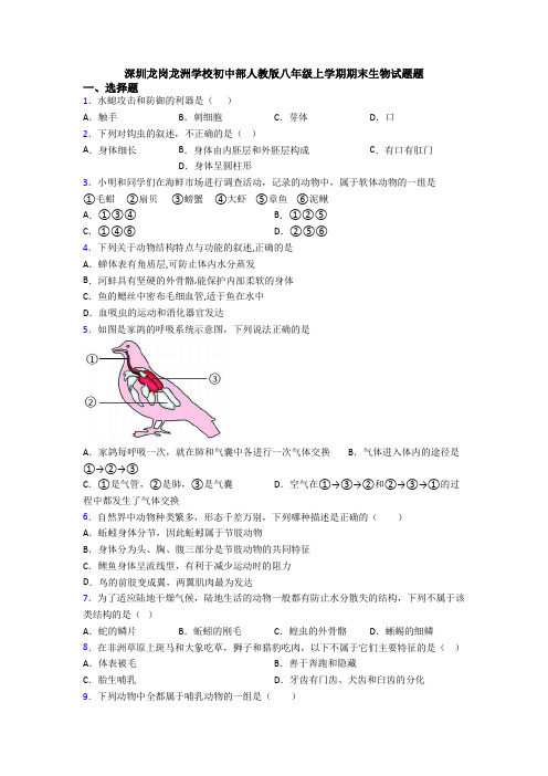 深圳龙岗龙洲学校初中部人教版八年级上学期期末生物试题题