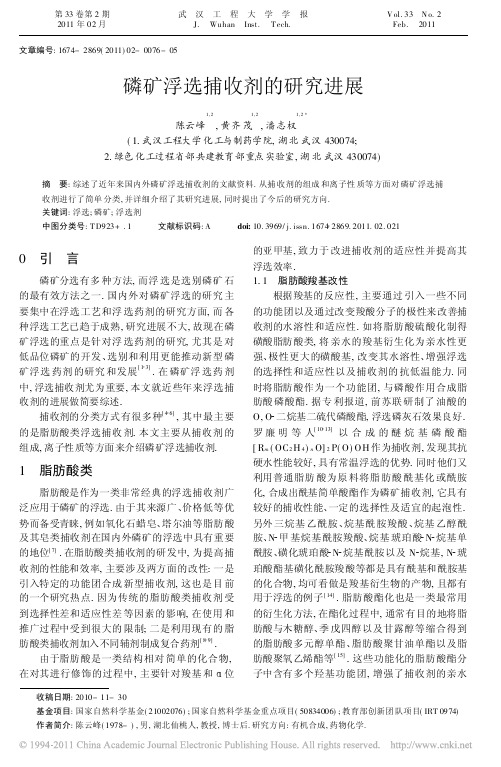 磷矿浮选捕收剂的研究进展