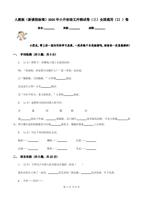 人教版(新课程标准)2020年小升初语文冲刺试卷(三)全国通用(II )卷