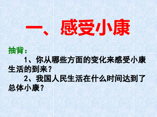 教科版九年级第四课解读小康课件