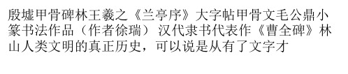 汉字：中华文化的基因