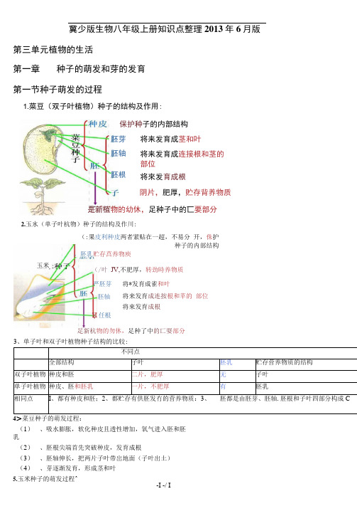 冀少版八年级生物上复习提纲打印