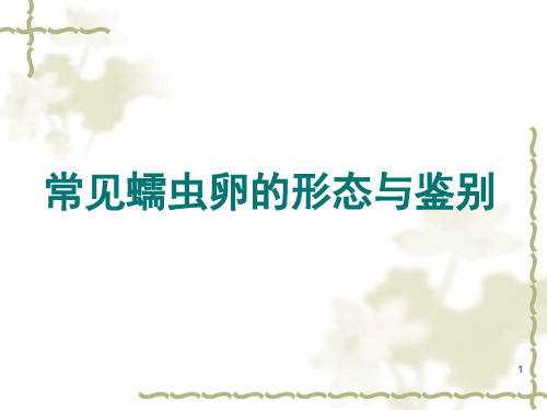 蠕虫卵的形态与鉴别