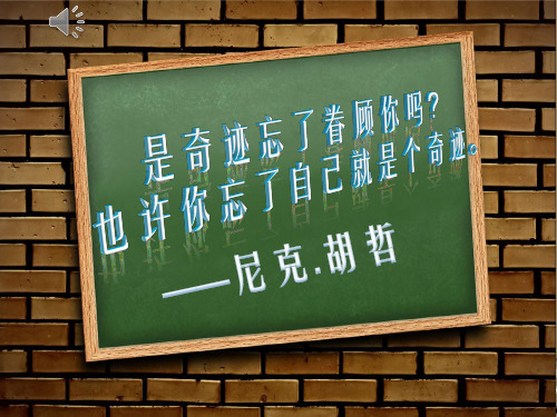 尼克.胡哲简介