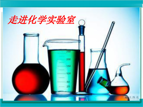 人教版初中化学九上1.3《走进化学实验室》配套讲课课件