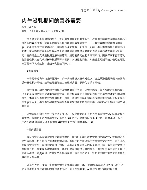 肉牛泌乳期间的营养需要