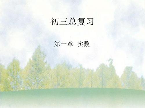 总复习代数01第一章(实数)[下学期]  新人教版
