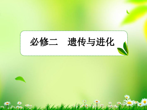 高考生物一轮复习 第1讲 DNA是主要的遗传物质课件 新人教版必修2