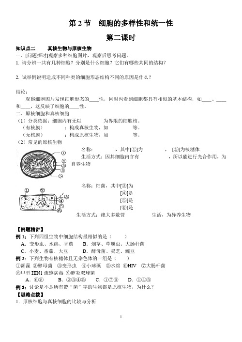 第二节细胞的多样性和统一性学案2