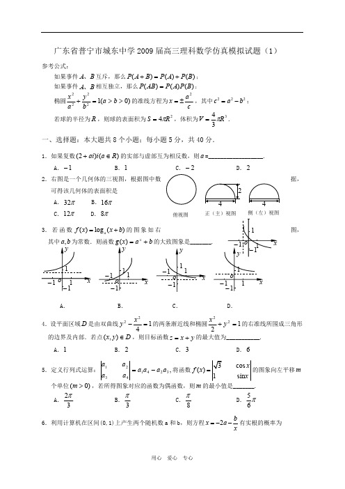 广东省普宁市城东中学2009届高三理科数学仿真模拟试题(1)