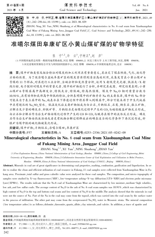 准噶尔煤田阜康矿区小黄山煤矿煤的矿物学特征