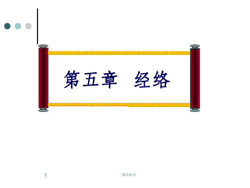 《中医经络》PPT课件