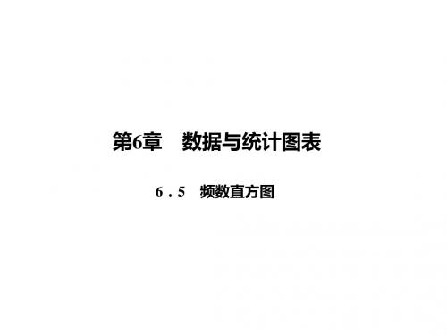 浙教版七年级数学下册(课件)6.5 频数直方图