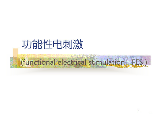 功能性电刺激PPT课件