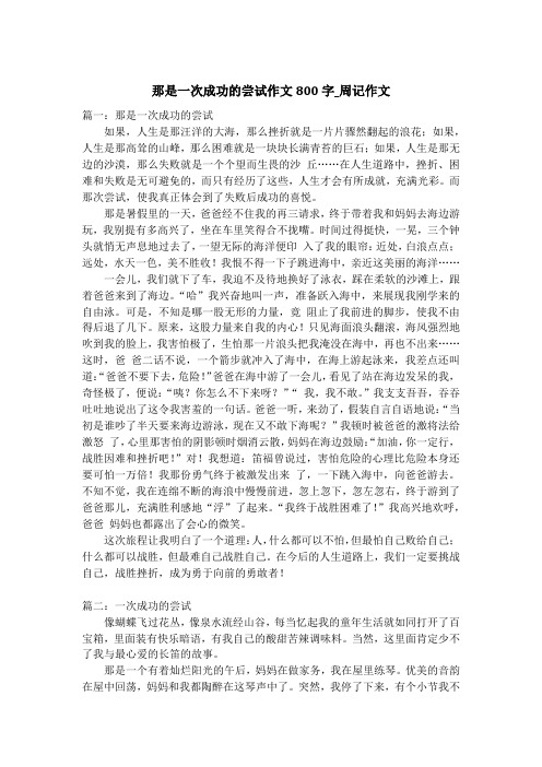那是一次成功的尝试作文800字_周记作文