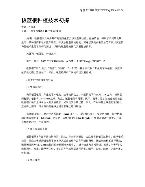 板蓝根种植技术初探
