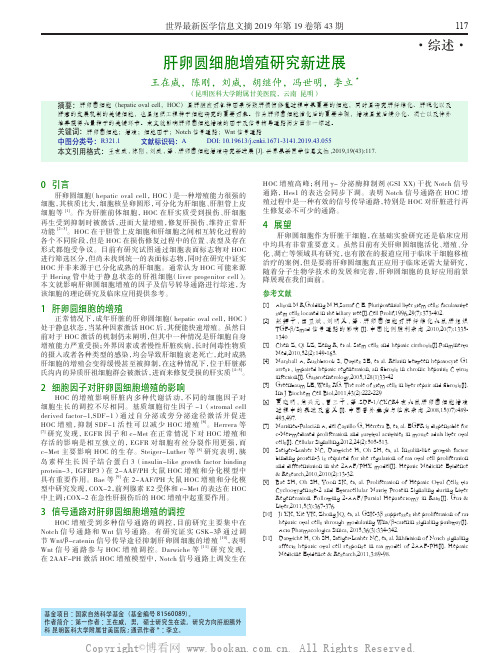 肝卵圆细胞增殖研究新进展