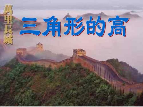1.3三角形的高(教学课件201908)