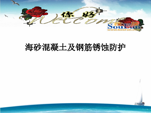 海砂混凝土及其钢筋锈蚀预防
