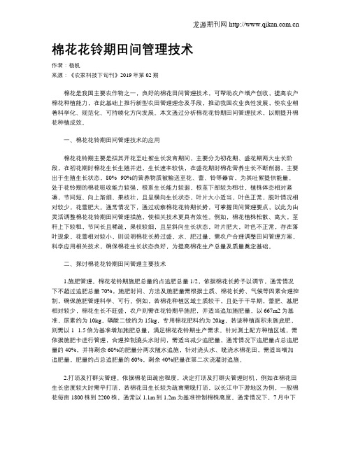 棉花花铃期田间管理技术