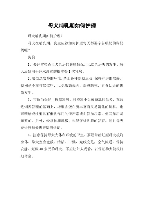 母犬哺乳期如何护理