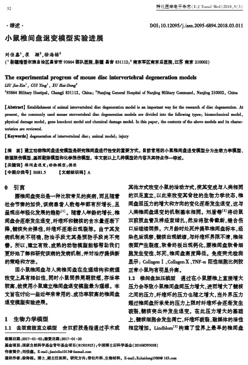 小鼠椎间盘退变模型实验进展