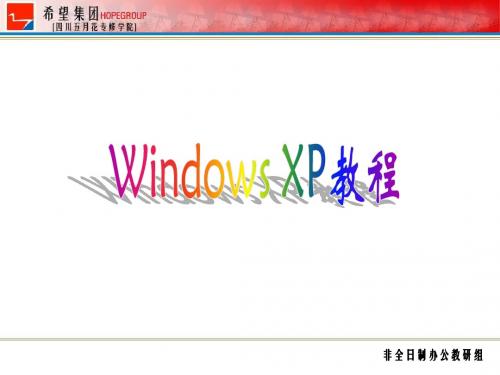 WINDOWS XP标准教程
