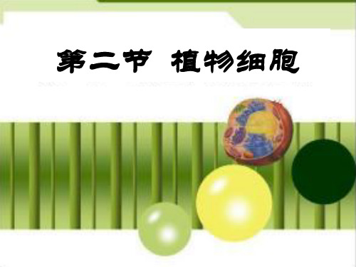 七年级生物上册第二单元第一章第二节植物细胞ppt课件