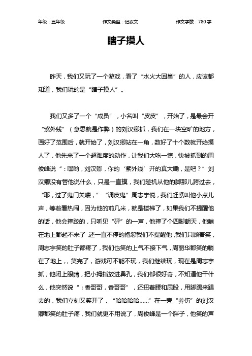 瞎子摸人作文【小学五年级800字】