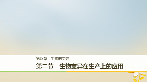 高中生物第四章生物的变异第二节生物变异在生产上的应用课件浙科版