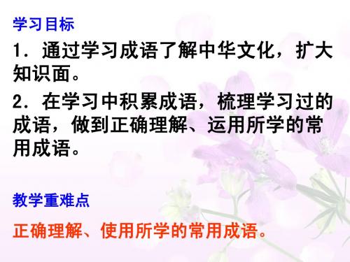 《成语：中华文化的微缩景观》ppt课件