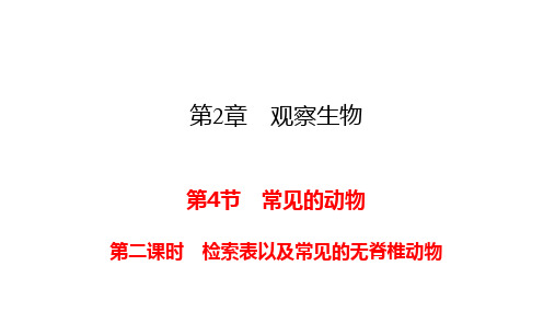 2023-2024学年七年级上册科学(浙教版)配套课件 第二章242检索表以及常见的无脊椎动物