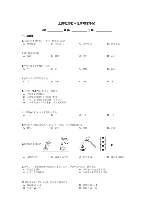 上海初三初中化学期末考试带答案解析
