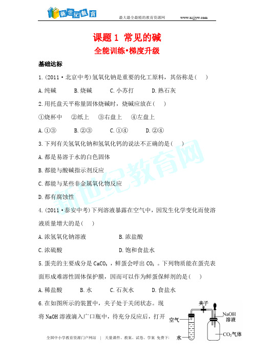 人教版九年级化学下册第十单元  课题1 常见的碱梯度能力训练