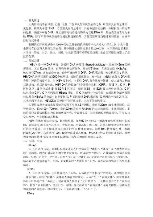 乙肝病毒基础性内容