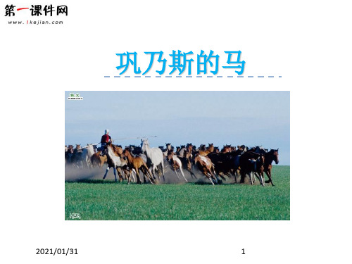 1.3 巩乃斯的马 北师大版优质课件PPT