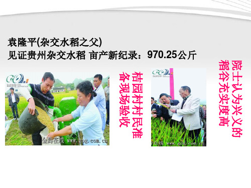 九年级政治-4.4实施科教兴国战略-人教新课标版PPT课件