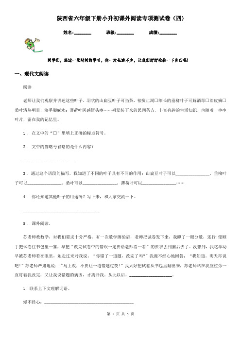 陕西省六年级语文下册小升初课外阅读专项测试卷(四)