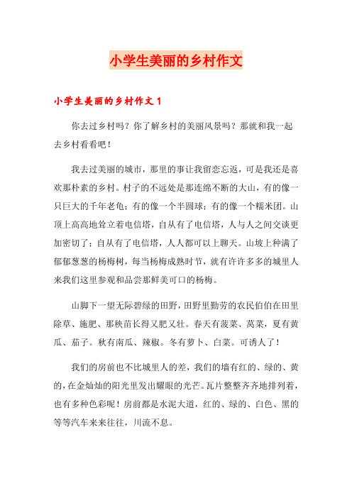 小学生美丽的乡村作文