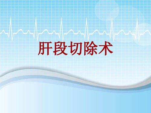 外科手术教学资料：肝段切除术讲解模板